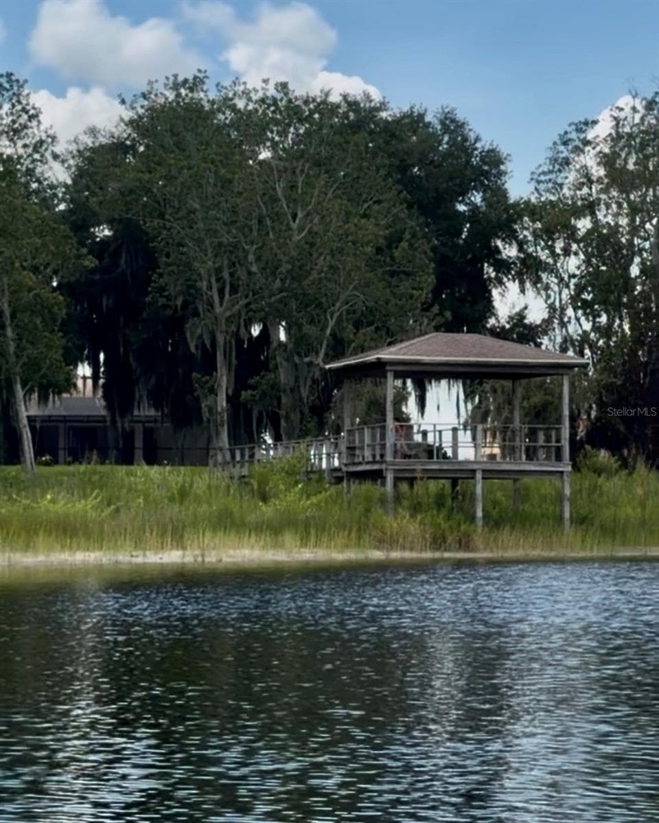 Walkway to covered dock in the backyard - 930 ALBRITTON WAY, LAKE WALES