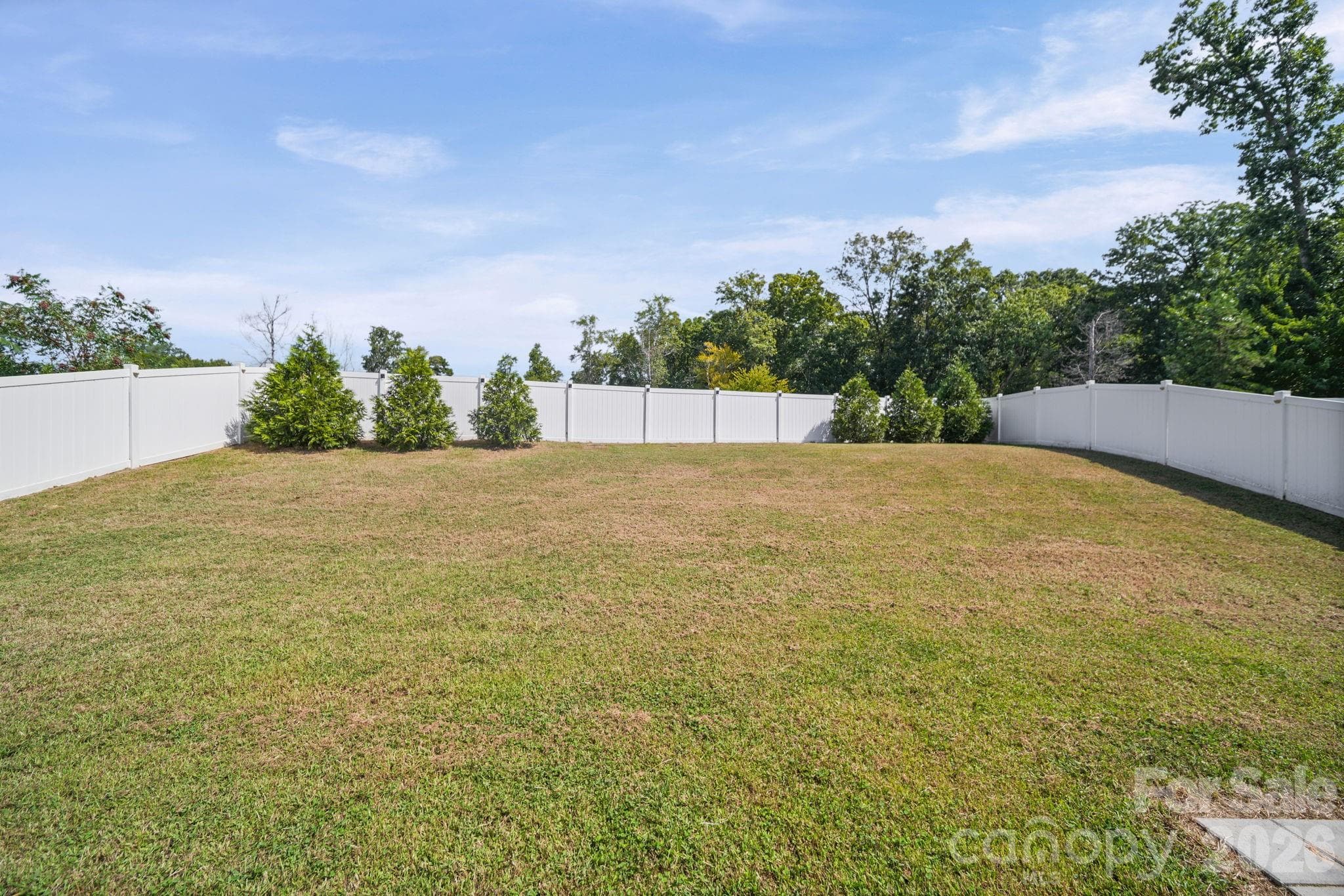 Single Family Residence at 217 Brenett Francis Court, Charlotte, photo 4 of 26