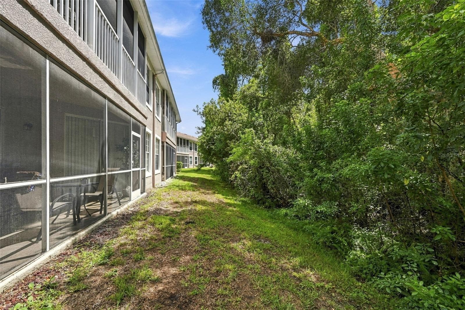 Back Yard - 802 LANTERN WAY #101, CLEARWATER