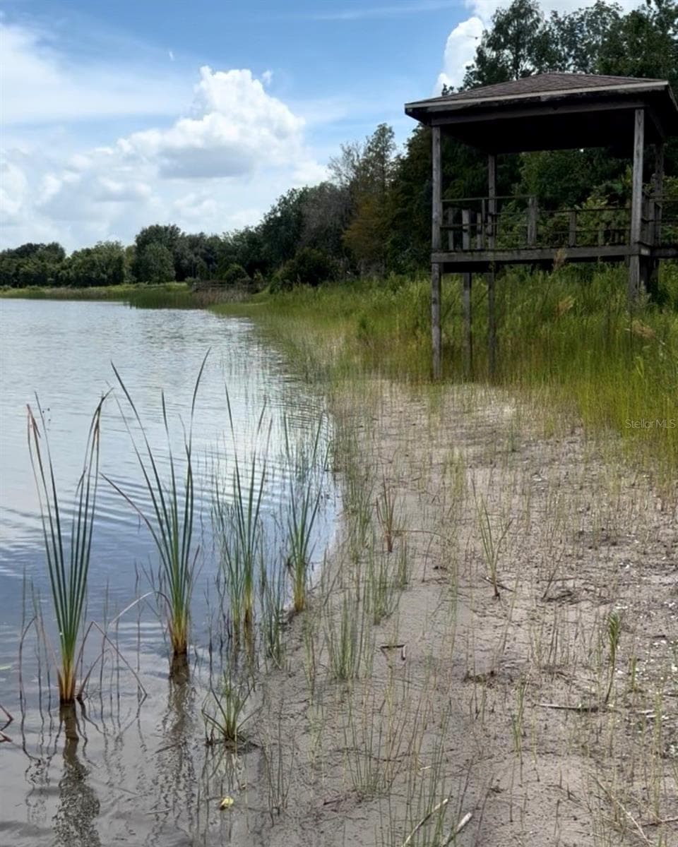 Sandy bottom and plenty of beautiful shoreline. - 930 ALBRITTON WAY, LAKE WALES