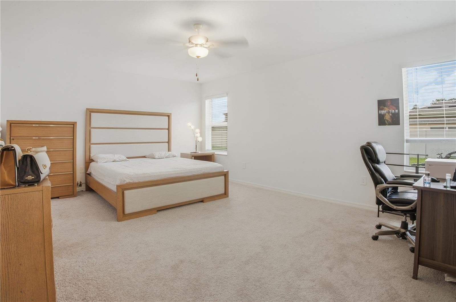 Primary Suite - 22188 CALISTO WAY, LAND O LAKES