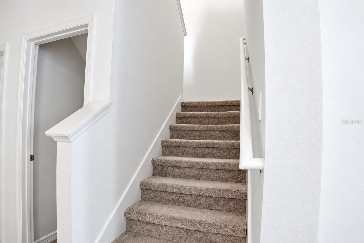 Stairway and Utility - 22188 CALISTO WAY, LAND O LAKES