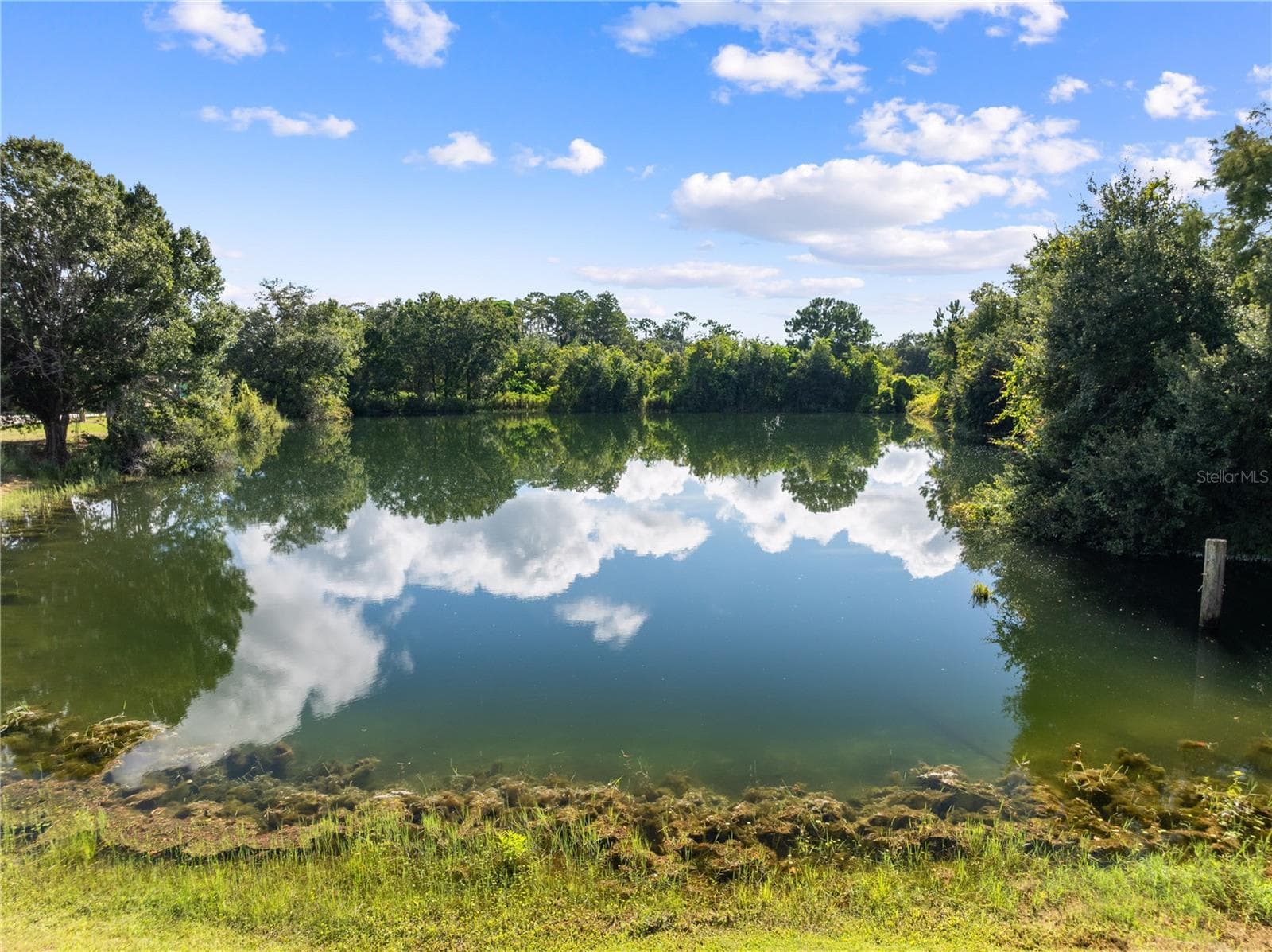 Spring Fed pond perfect for fishing. - 4349 PACKARD AVE, ST CLOUD