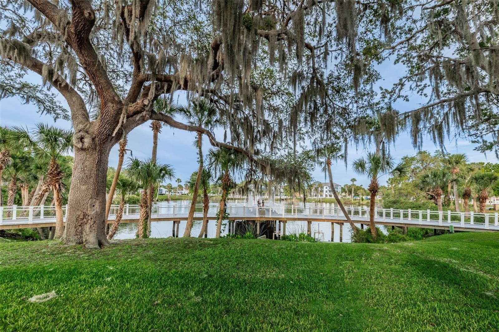 Single Family Residence at 6243 MAIN ST, NEW PORT RICHEY, photo 36 of 50