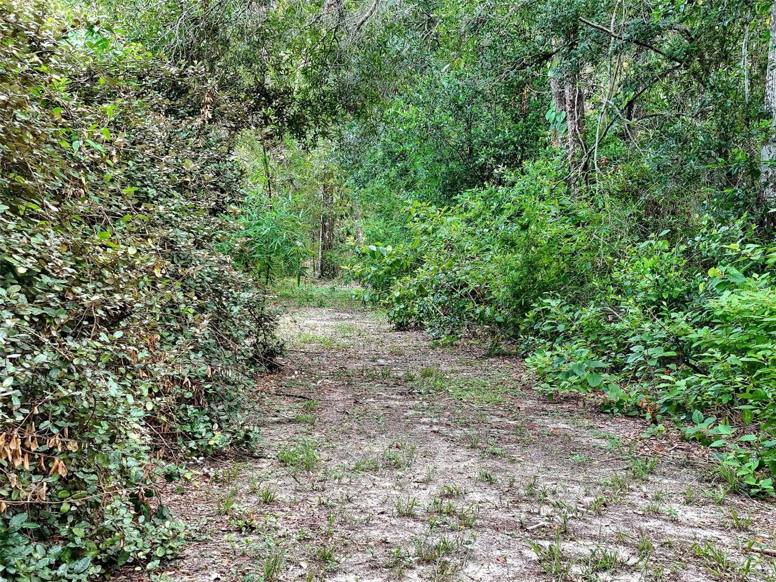 Land at 0 FORT DADE AVE, BROOKSVILLE, photo 4 of 34