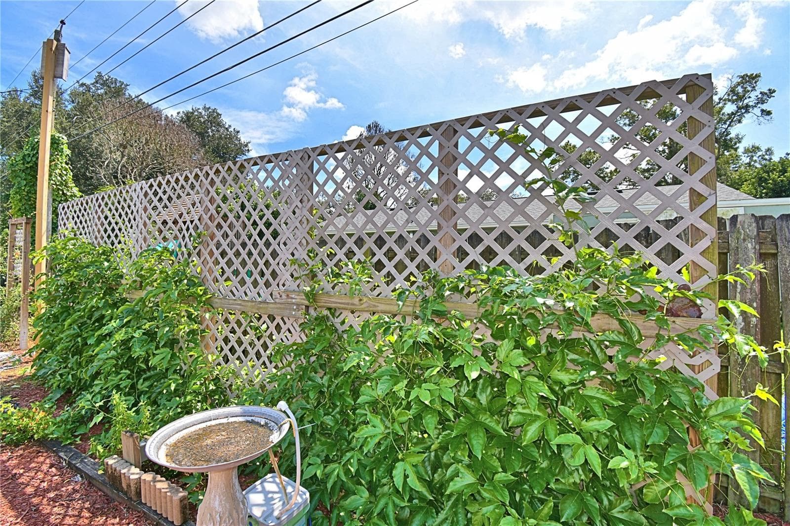 Gorgeous Plants - 2815 CHRISTIE LN, LAKELAND