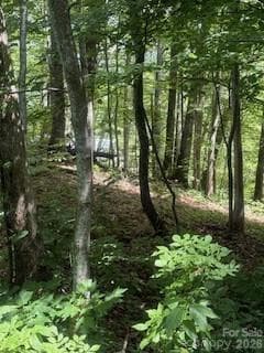 Lot at Waynesville, photo 4 of 28