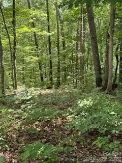 Lot at Waynesville, photo 6 of 28