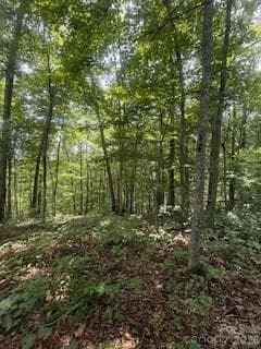 Lot at Waynesville, photo 8 of 28