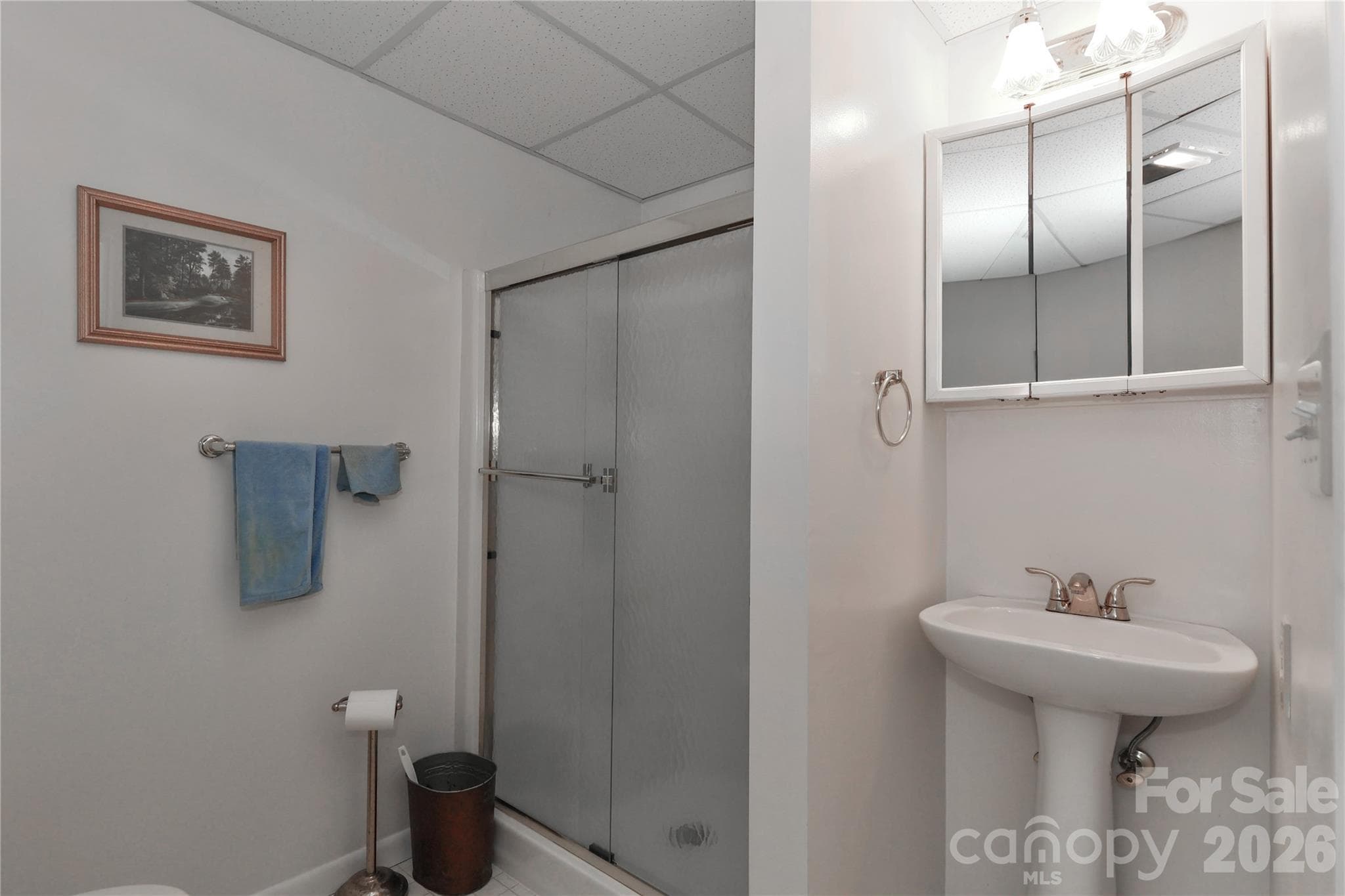 Lower level full bathroom - 1359 Radio Road, Statesville