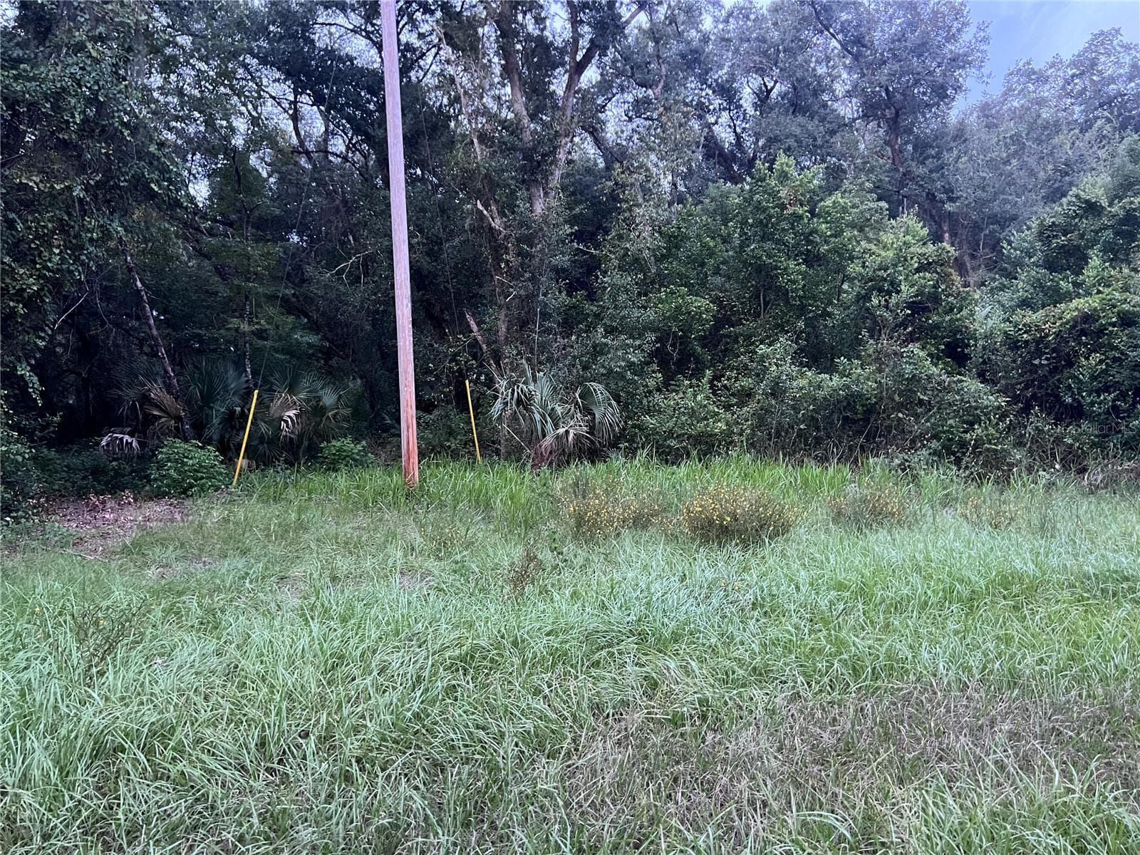 Land at 112 & 114 GROVE DR, CRESCENT CITY, photo 7 of 26