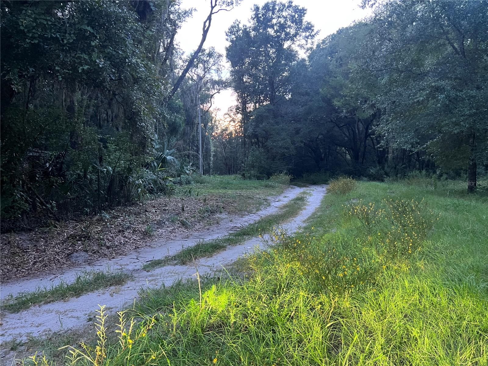 Land at 112 & 114 GROVE DR, CRESCENT CITY, photo 17 of 26