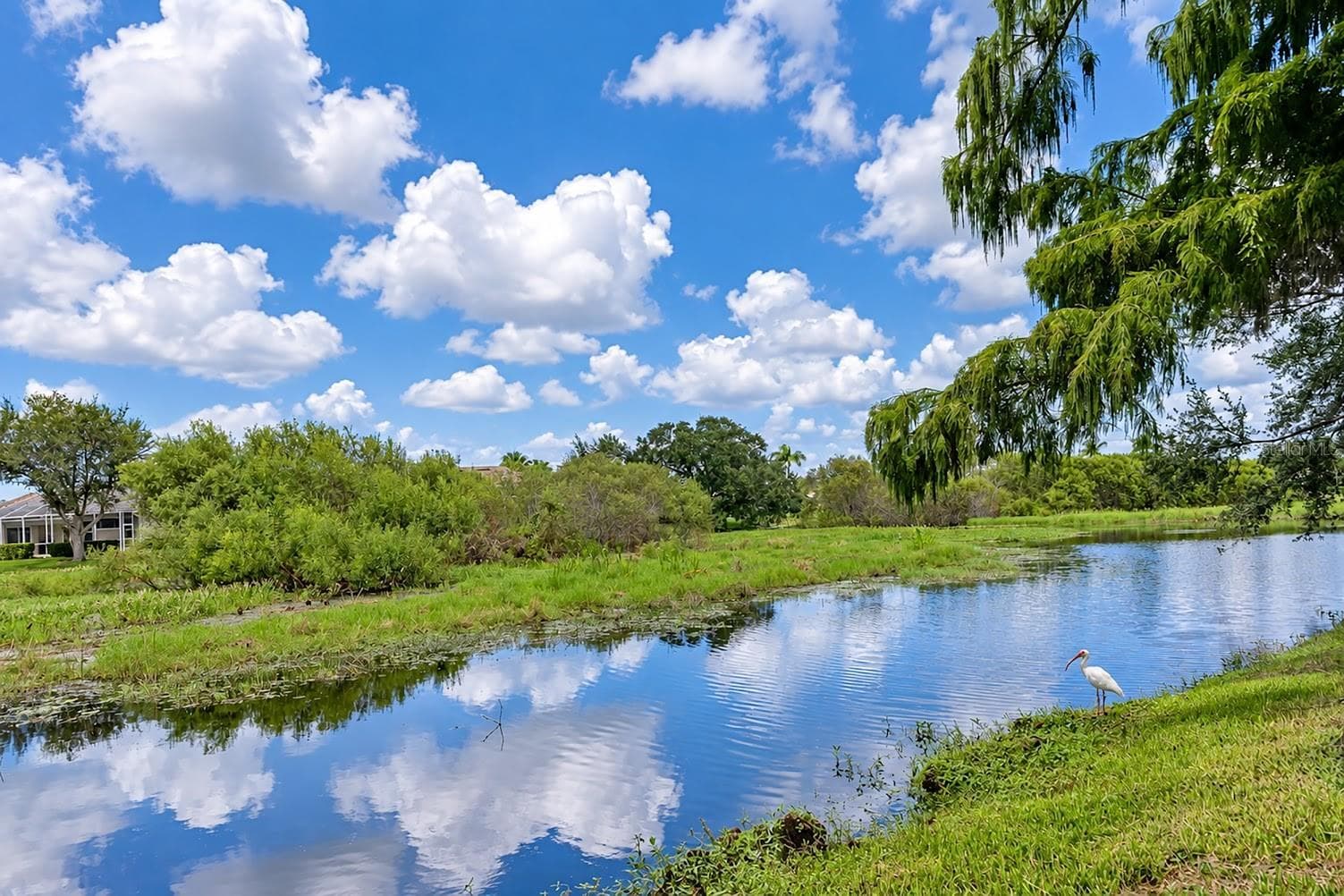 Lake and nature preserve view. - 5113 FLAGSTONE DR, SARASOTA