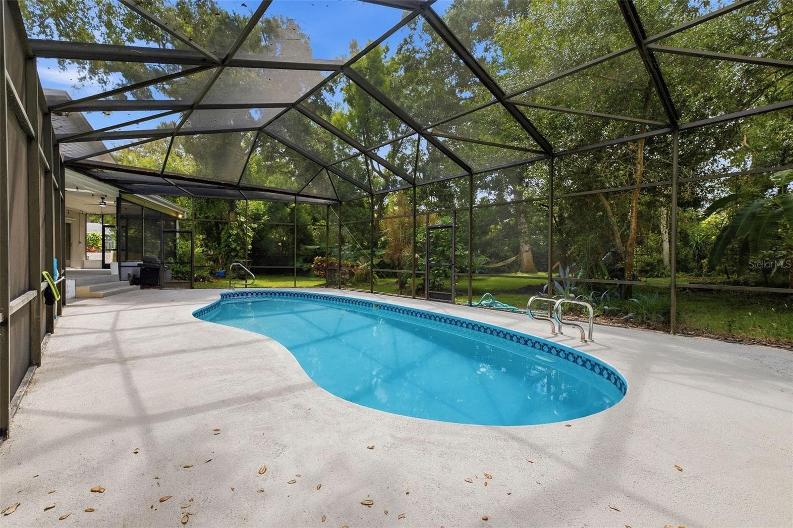 pool - 1304 TREETOP DR, PALM HARBOR