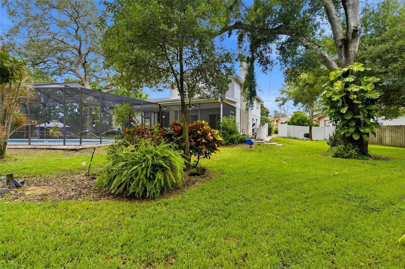 yard - 1304 TREETOP DR, PALM HARBOR