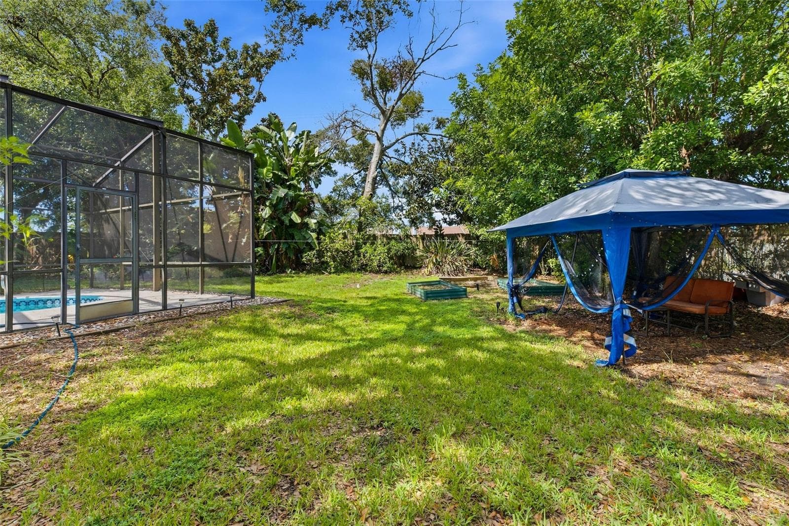 huge backyard - 1304 TREETOP DR, PALM HARBOR
