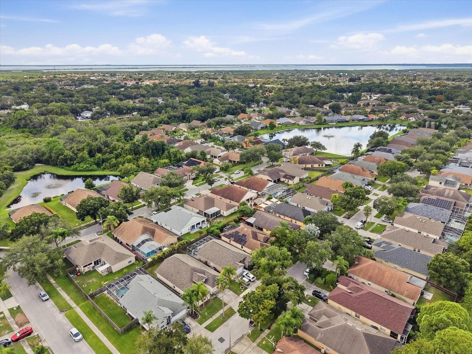 Single Family Residence at 10271 OASIS PALM DR, TAMPA, photo 9 of 35