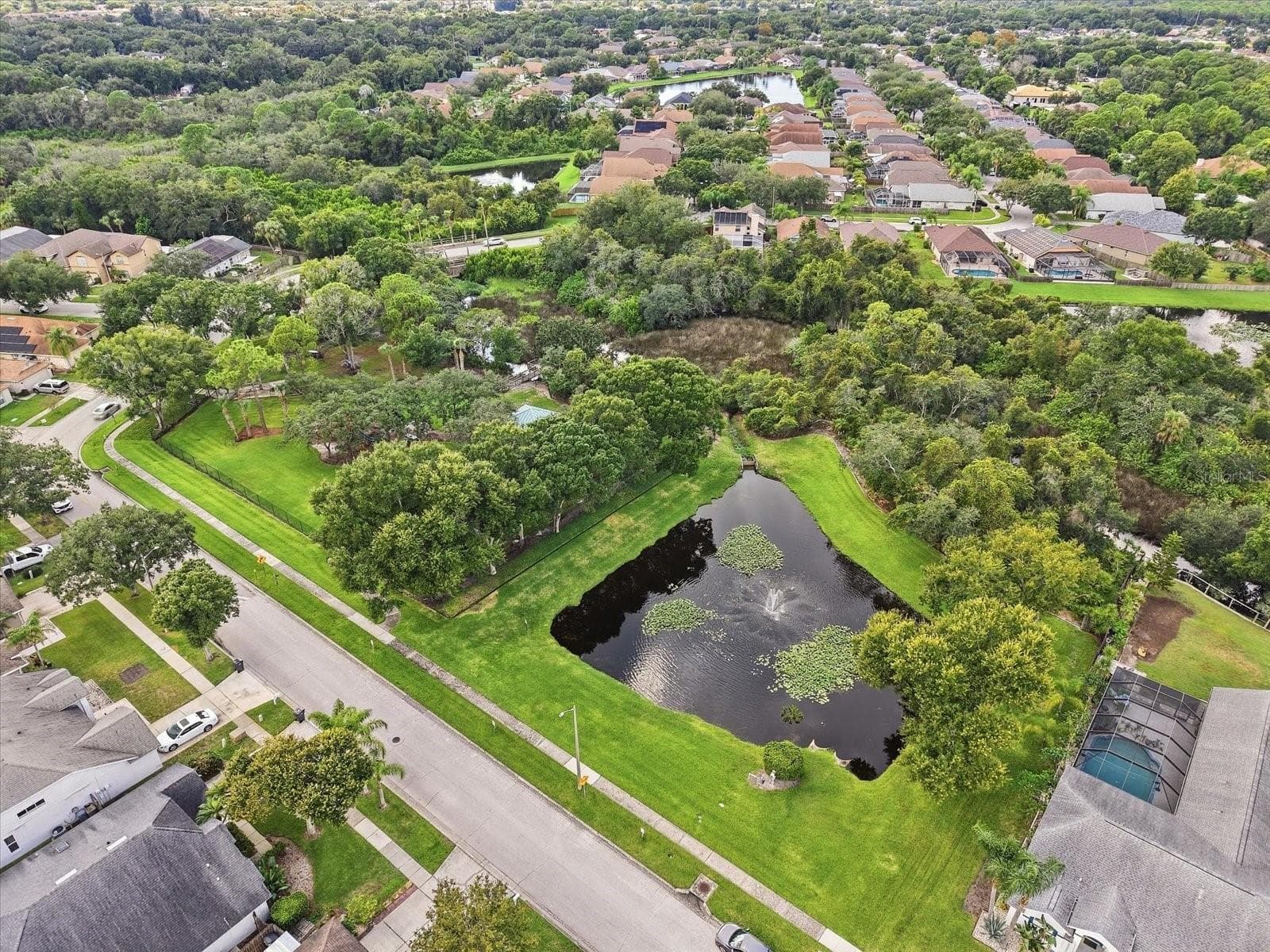 Single Family Residence at 10271 OASIS PALM DR, TAMPA, photo 11 of 35