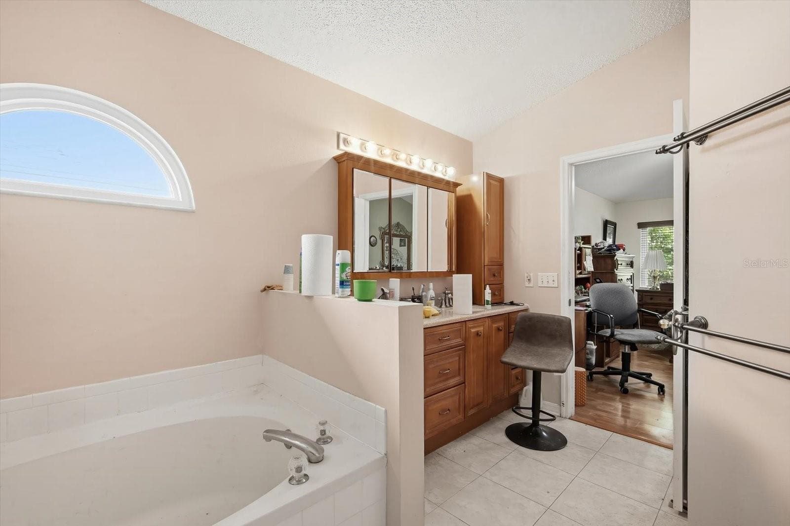 Single Family Residence at 10271 OASIS PALM DR, TAMPA, photo 23 of 35