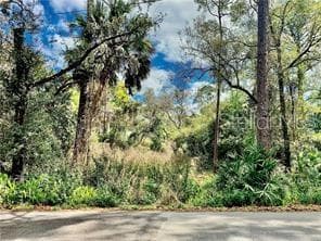 Property Front - 125 MATANZAS RD, DEBARY