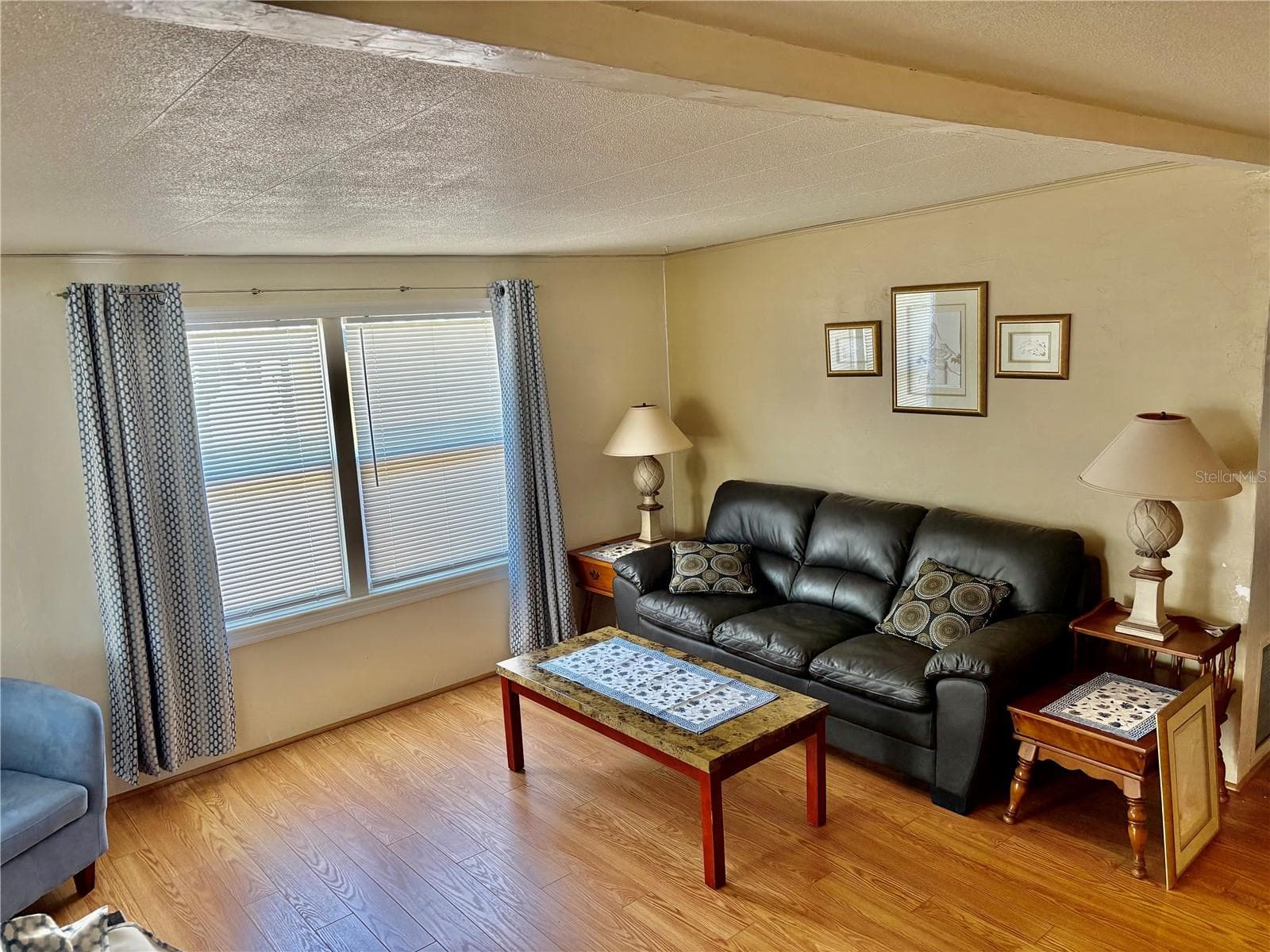Living Room - 603 S GREEN CIR, VENICE