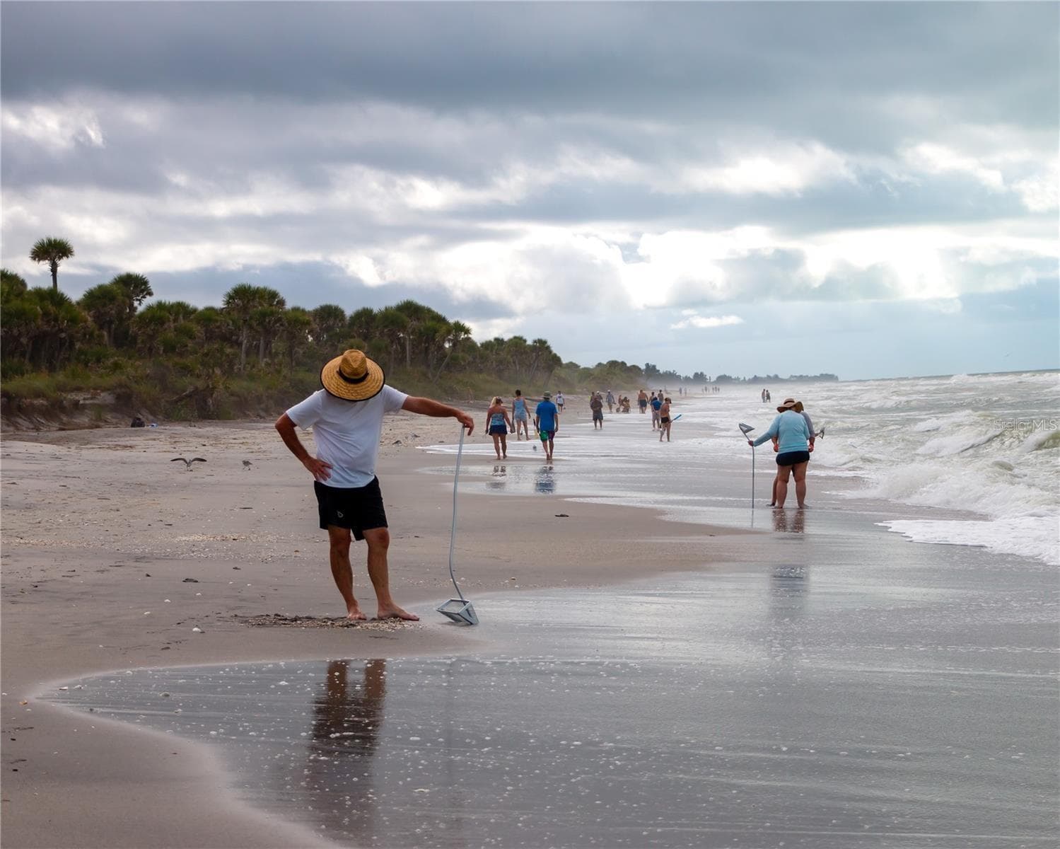 Shark tooth hunting at Caspersen Beach - 603 S GREEN CIR, VENICE