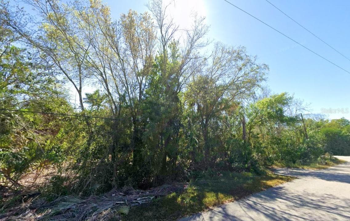 Land at 202 CHARLOTTE ST, PUNTA GORDA, photo 4 of 6