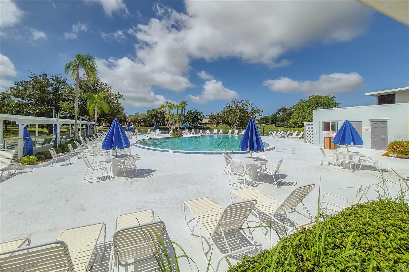 Pool deck and Pool - 8055 112TH ST #205, SEMINOLE