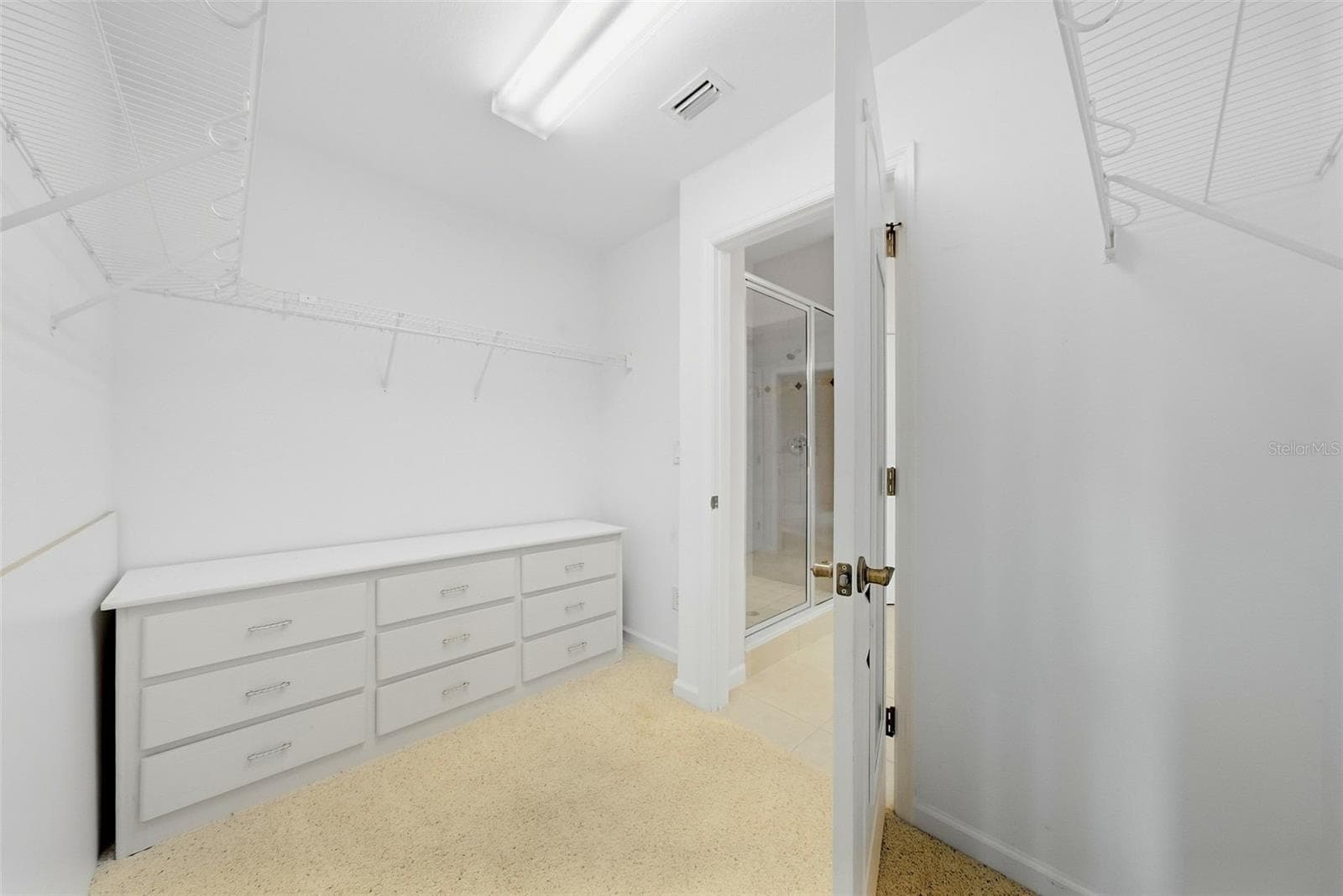 Downstairs PrimaryWalk-In Closet - 10647 WHITTINGTON CT, LARGO