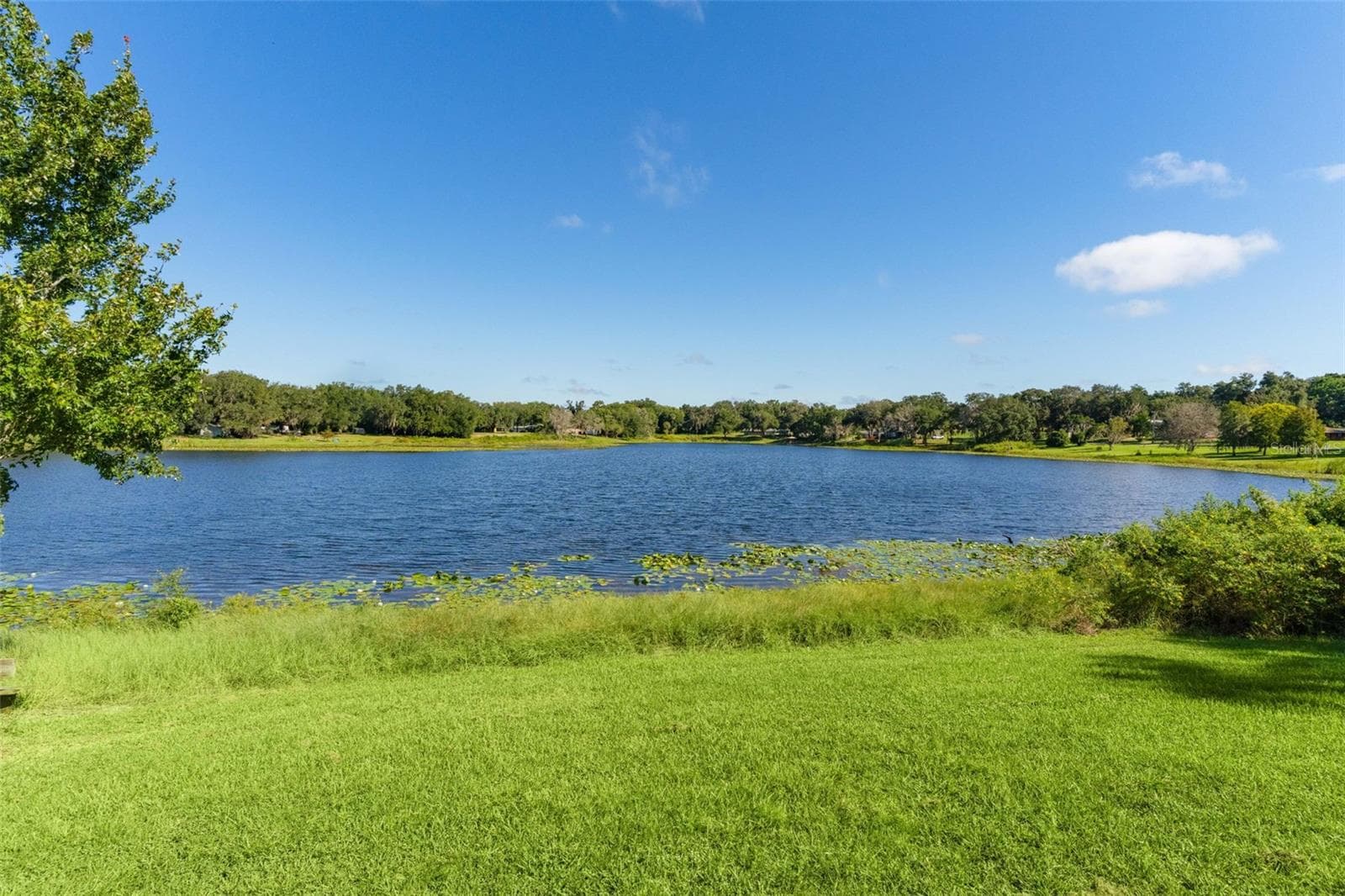 Single Family Residence at 521 E MIRROR LAKE DR, FRUITLAND PARK, photo 64 of 79