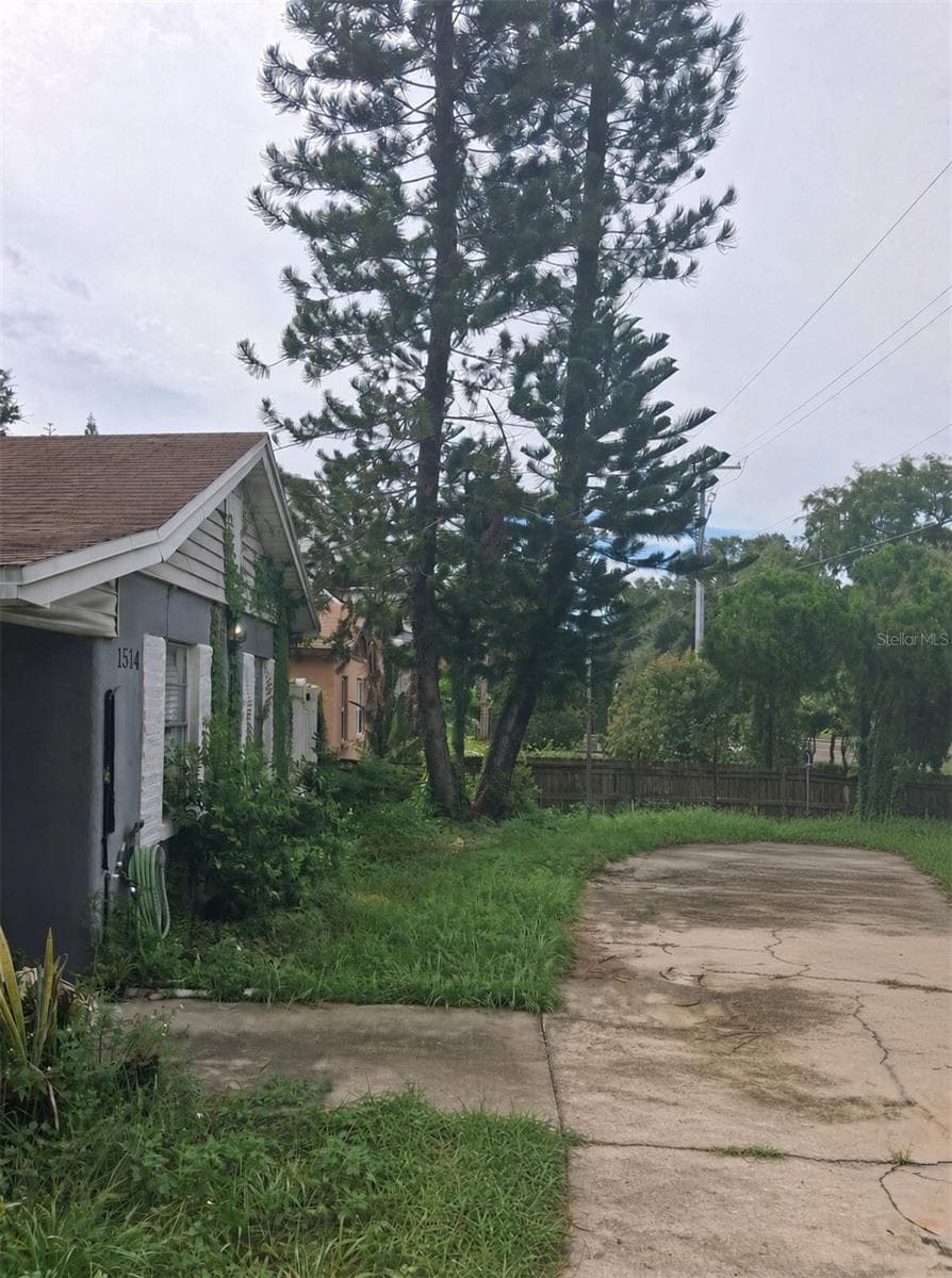 Front Trees - 1514 S LOIS AVE, TAMPA