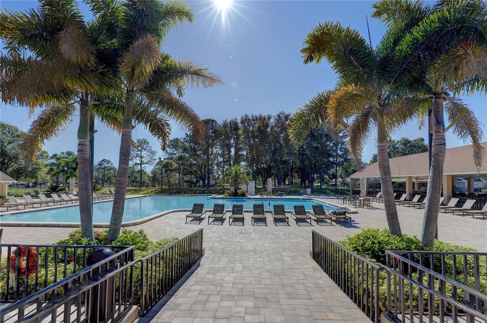 Main clubhouse pool is heated & cooled for year-round use~ - 3280 SKENE TER, PALM HARBOR
