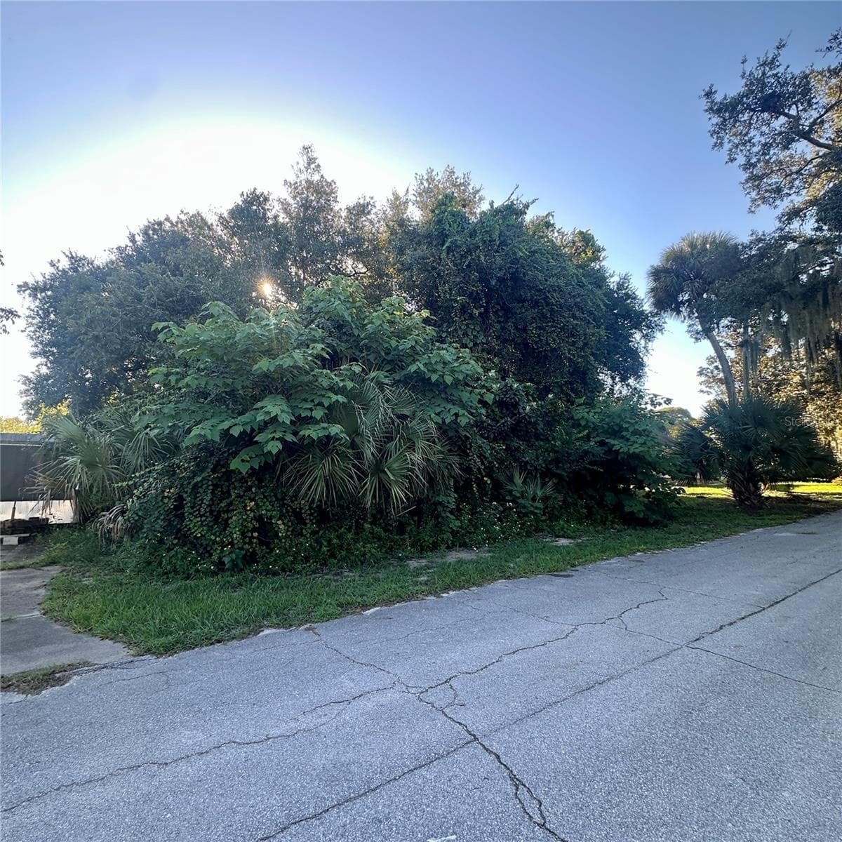 0 OAK ST