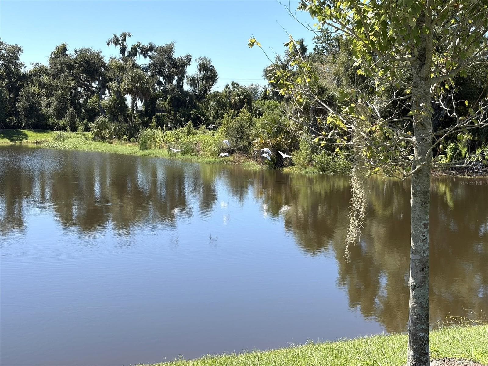 Community Lake #2 - 14449 HAMMOCK OAK ST, PARRISH