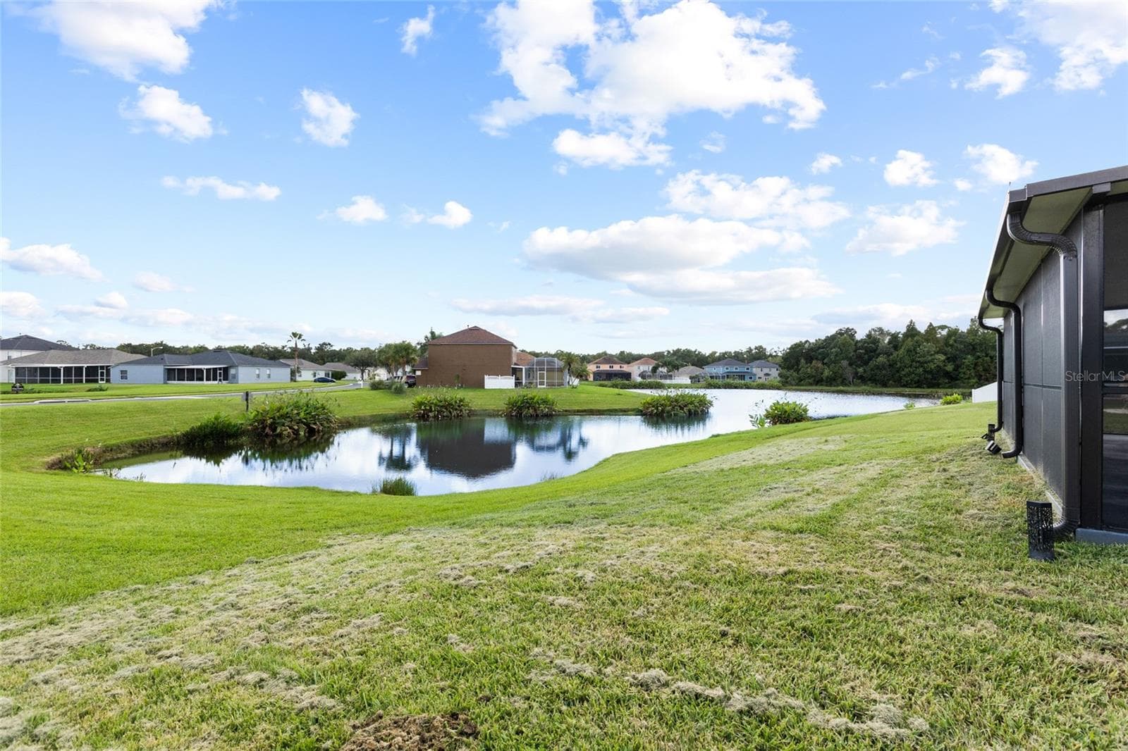 Single Family Residence at 25500 GEDDY DR, LAND O LAKES, photo 40 of 80