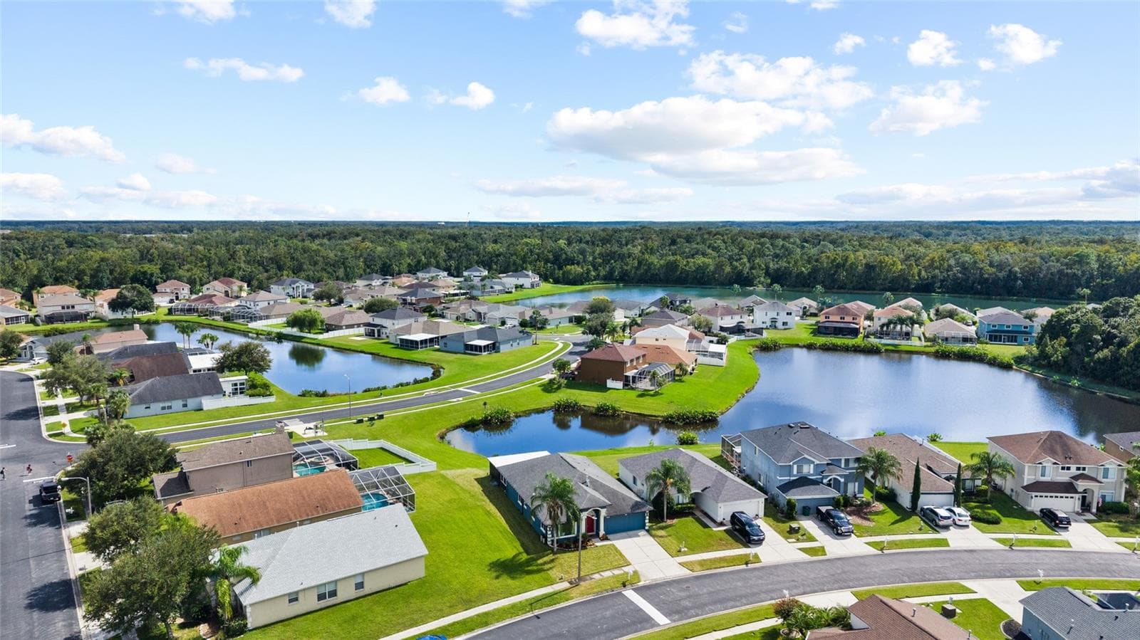 Single Family Residence at 25500 GEDDY DR, LAND O LAKES, photo 50 of 80