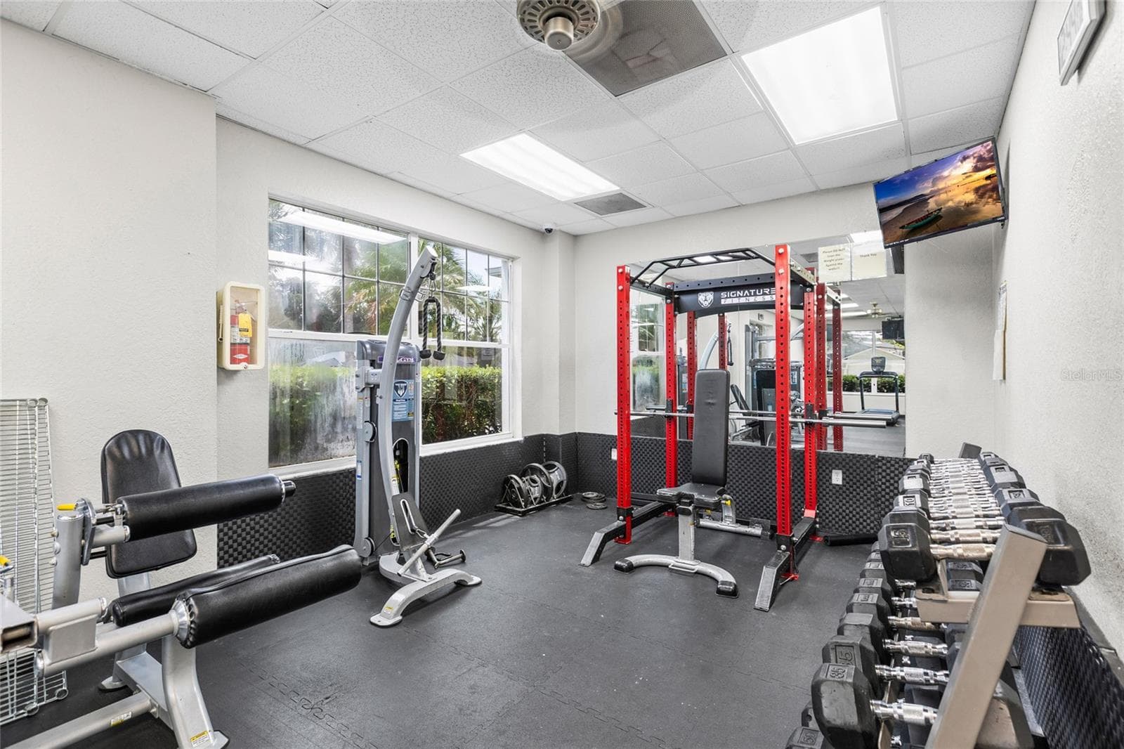Gym - 25500 GEDDY DR, LAND O LAKES