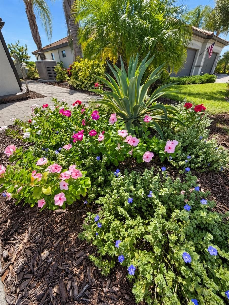 Lush Lanscaping - 15914 CLEAR SKIES PL, BRADENTON