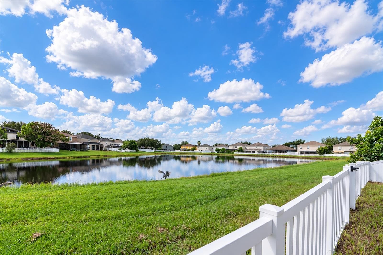 Fenced yard on Pond - 10919 BANYAN WOOD WAY, RIVERVIEW