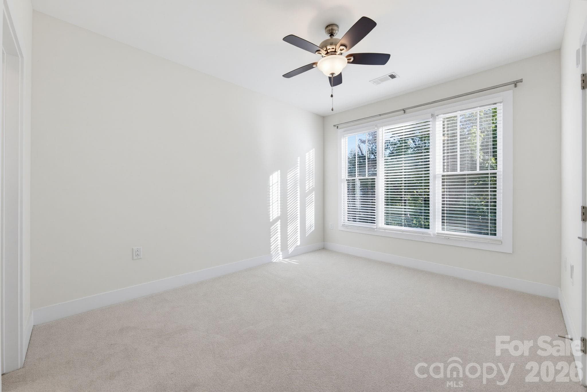 New Carpet & Paint - 317 E Tremont Avenue, Charlotte