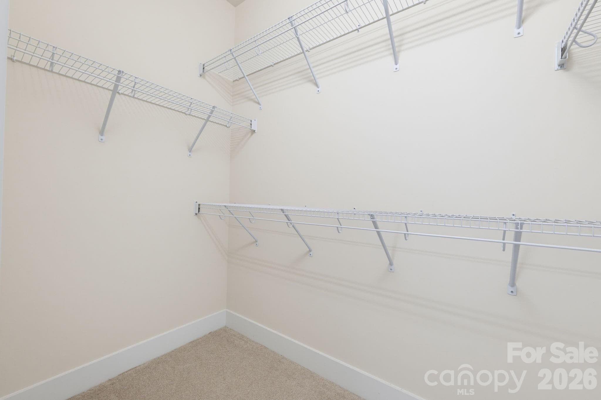 Walk In Close - 317 E Tremont Avenue, Charlotte
