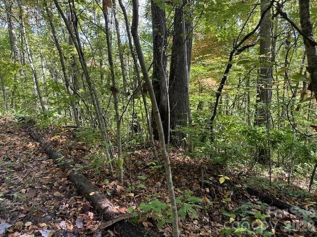 Lot at H16-H17 Shady Grove Road, Tuckasegee, photo 2 of 6