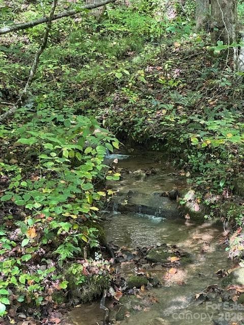 Lot at H16-H17 Shady Grove Road, Tuckasegee, photo 3 of 6