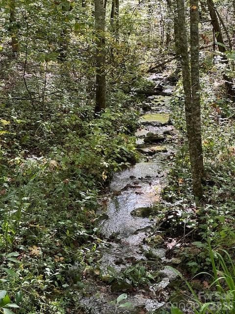 Lot at H16-H17 Shady Grove Road, Tuckasegee, photo 4 of 6