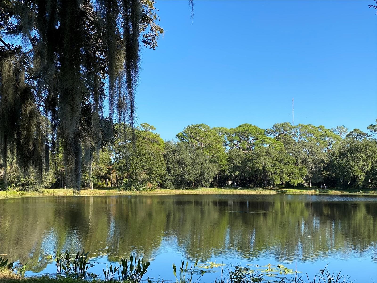 NEARBY: Lake Seminole Park offers a beautiful setting for walking, biking, picnicking and enjoying the outdoors. - 8514 93RD AVE, SEMINOLE