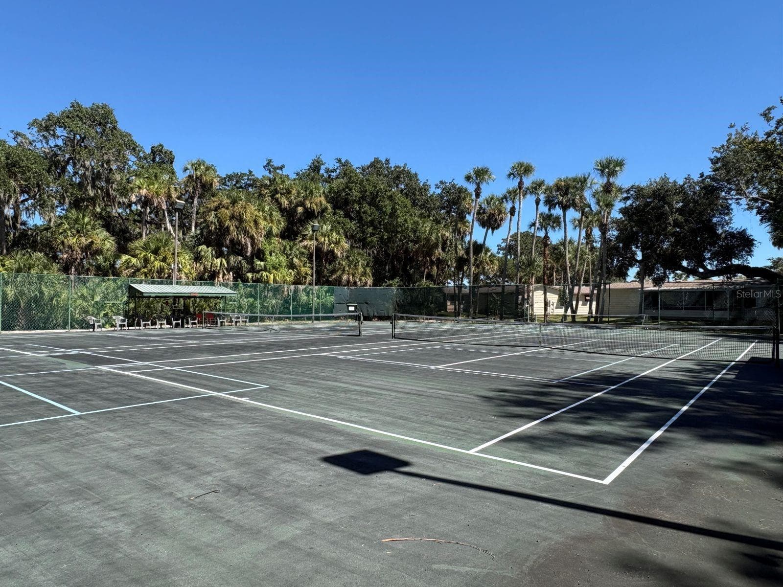 Tennis and Pickleball courts - 809 STARBOARD AVE, EDGEWATER