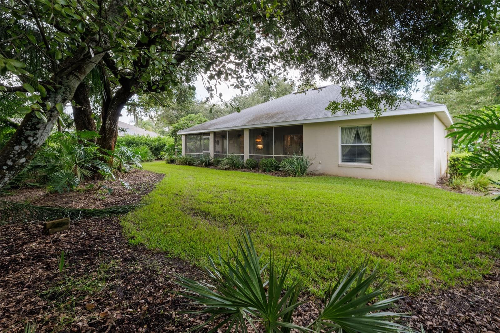 Backyard - 3626 MALLOW DR, ORMOND BEACH
