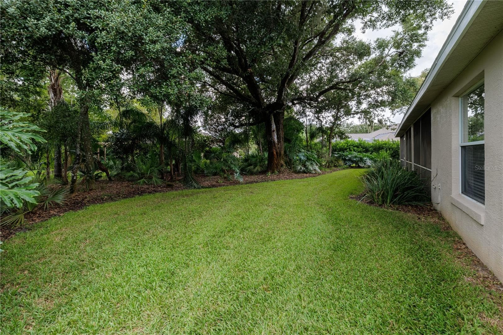 Backyard - 3626 MALLOW DR, ORMOND BEACH
