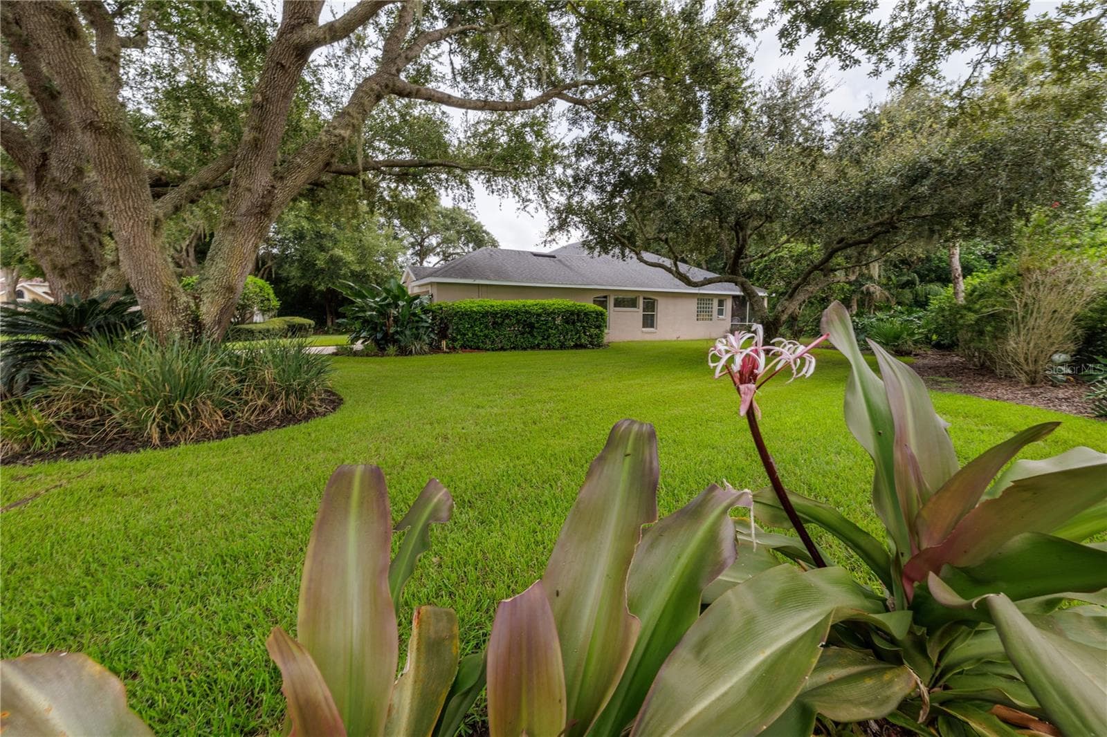Backyard - 3626 MALLOW DR, ORMOND BEACH