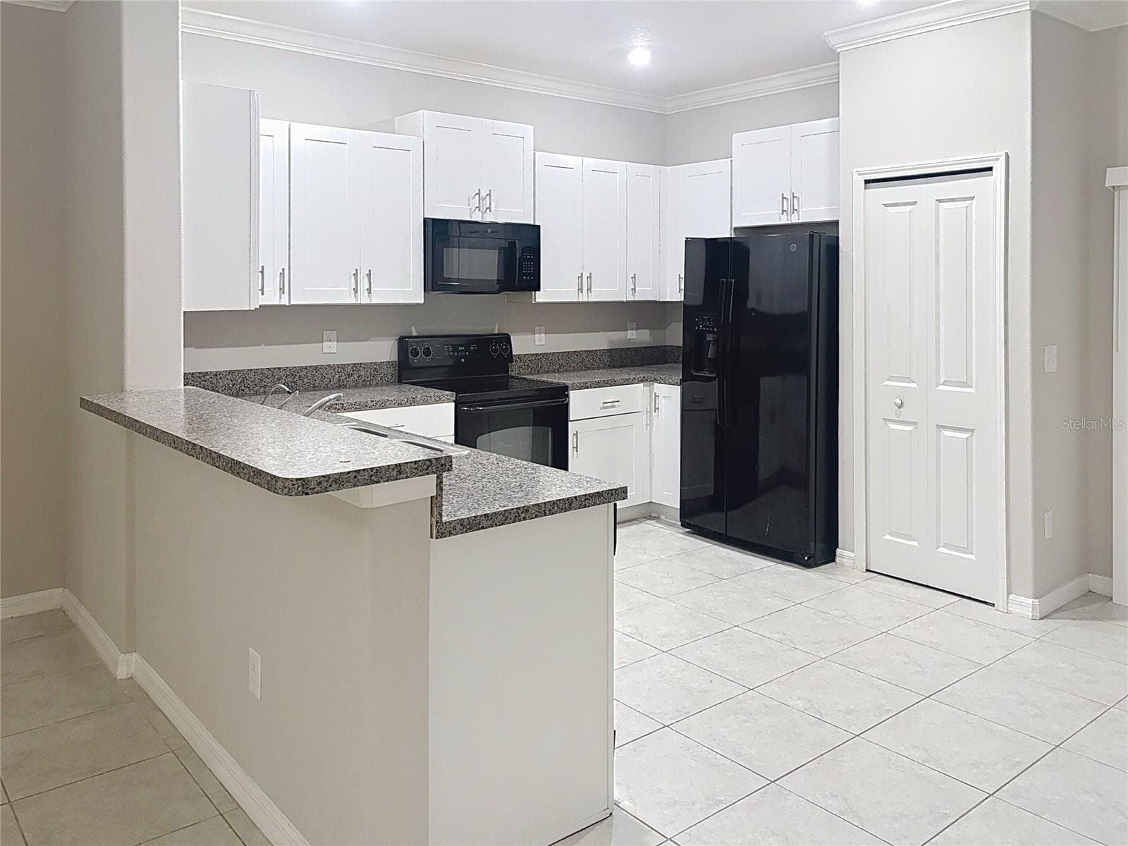 Townhouse at 1509 CASSIUS ST, LUTZ, photo 8 of 36